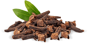 Spirulina - učinkovina proti glistam